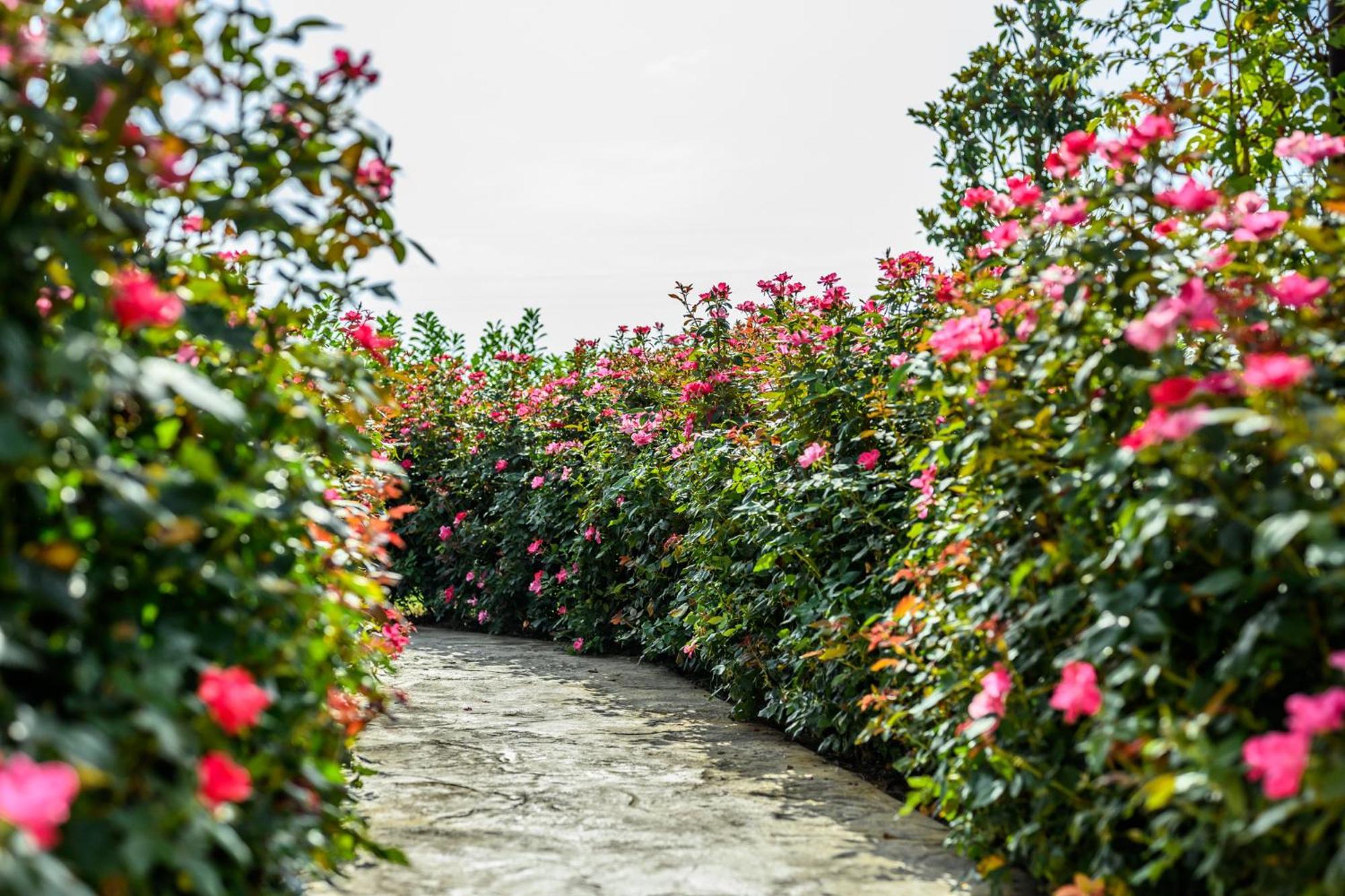 La Casa Di Valeria - Modena Bed & Breakfast ภายนอก รูปภาพ