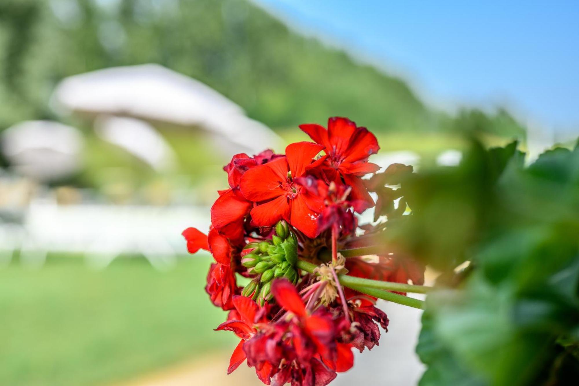 La Casa Di Valeria - Modena Bed & Breakfast ภายนอก รูปภาพ